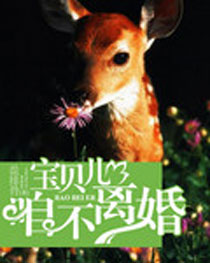 ���������۲����