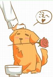 ����֮��ֶ��ϵ