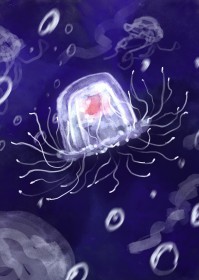 Сˮĸ�ĺ������ռ�