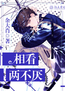 �࿴������