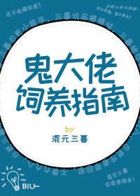 ����������ָ��