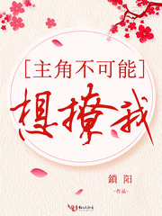 ���ǲ�����������