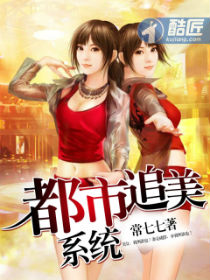 ����׷��ϵͳ