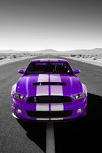 �¿����ļ�