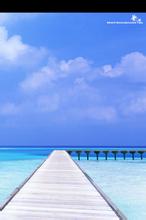 ���������ļ�