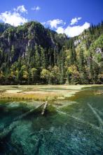 �����ļ�