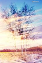 ��������ļ�