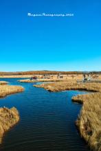 ��ͥ�����ļ�